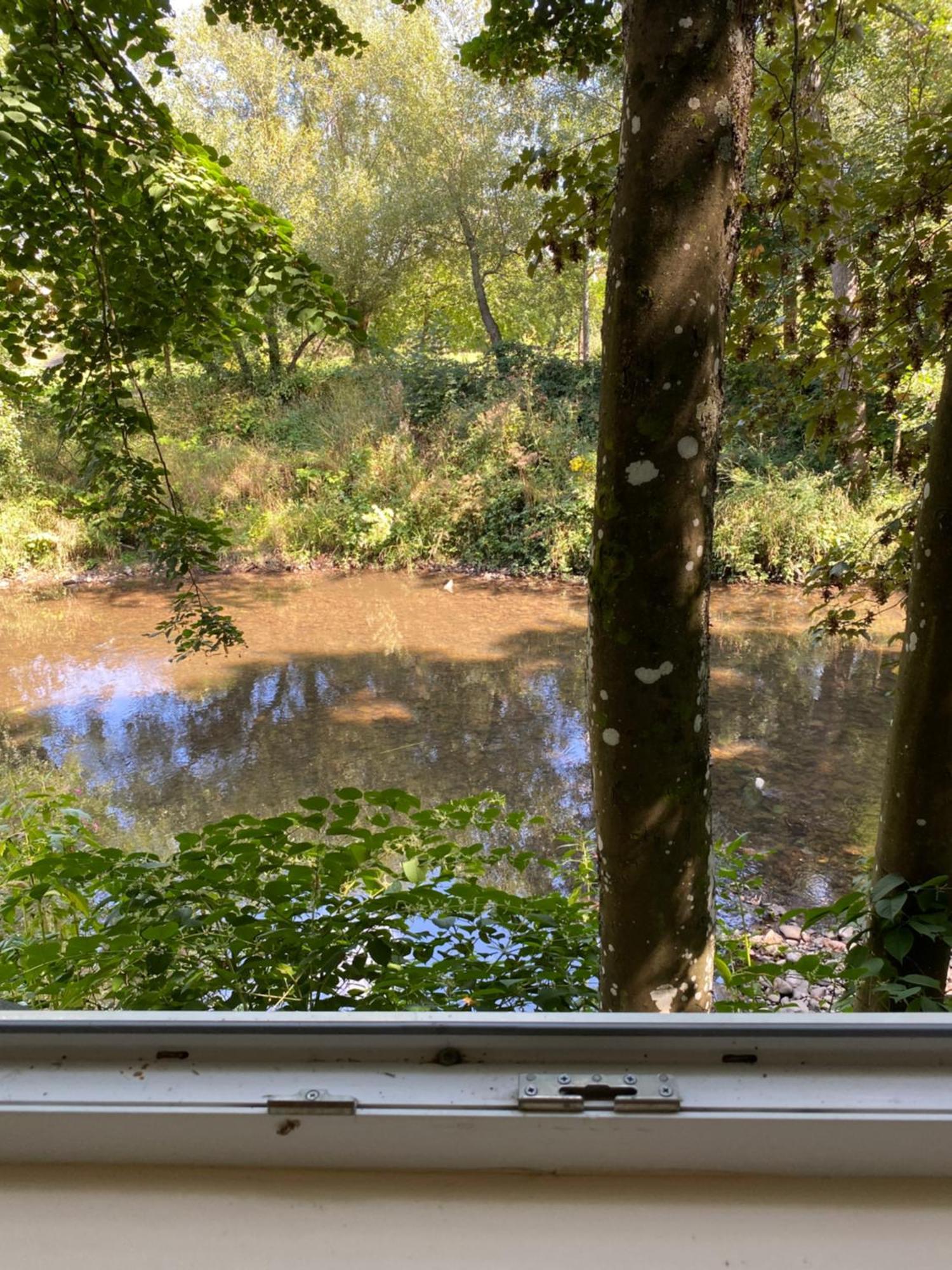 Apartment Les Pieds Dans L Eau Belfort